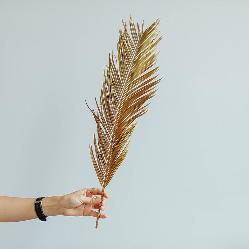 Trawa pampasowa suszony liść długość 60 cm