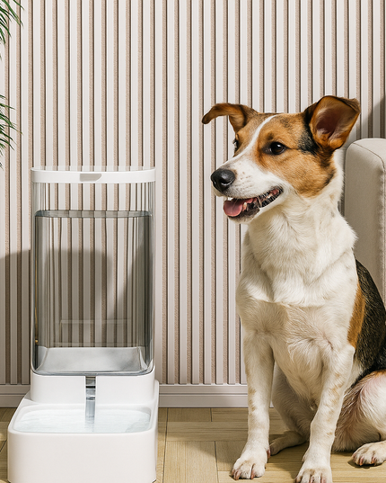 Automatyczne poidełko dla psa