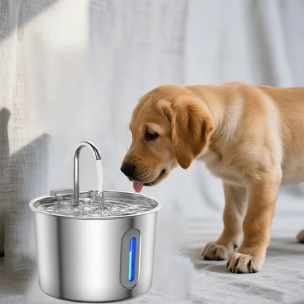 Collection image for: Miski i poidełka dla psów