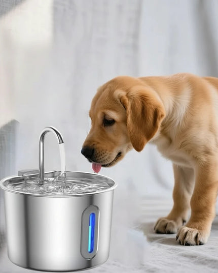 Duża fontanna dla psa ze stali nierdzewnej