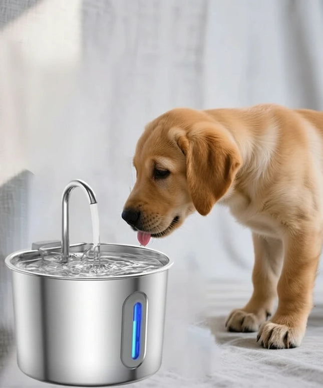 Duża fontanna dla psa ze stali nierdzewnej
