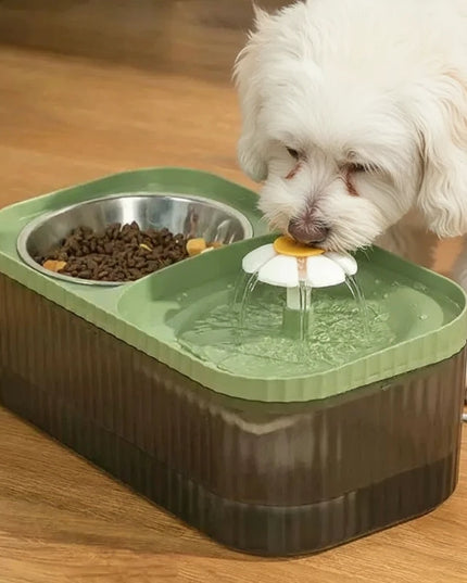 Fontanna dla psa z motywem stokrotki i miska na karmę 2 w 1