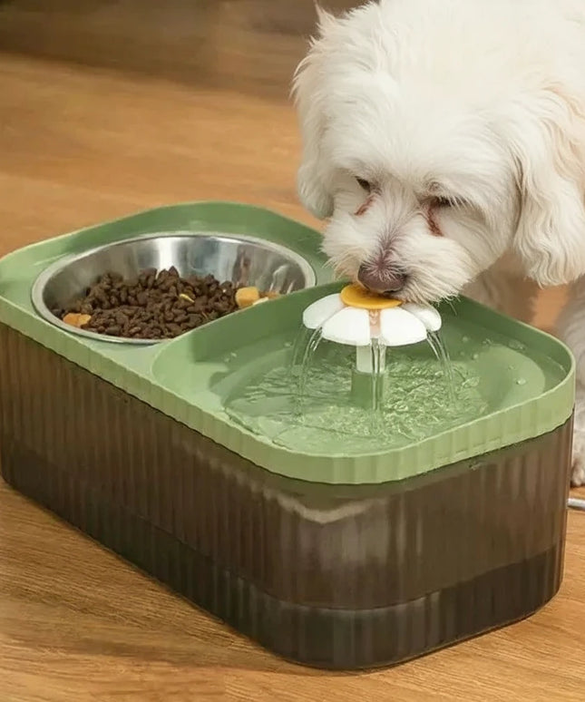 Fontanna dla psa z motywem stokrotki i miska na karmę 2 w 1