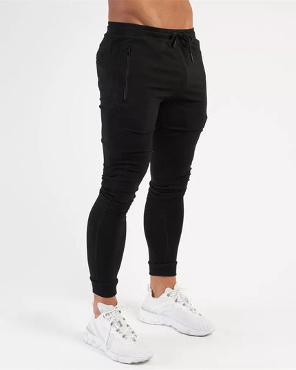 47442204787035|47442204819803|47442204852571|47442204885339