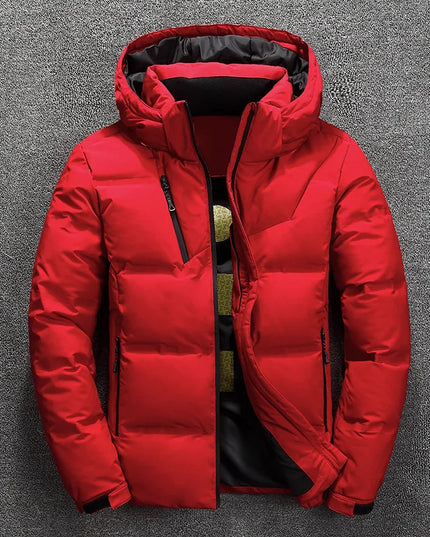 47249309106523|47249309172059|47249309237595|47249309303131|47249309368667