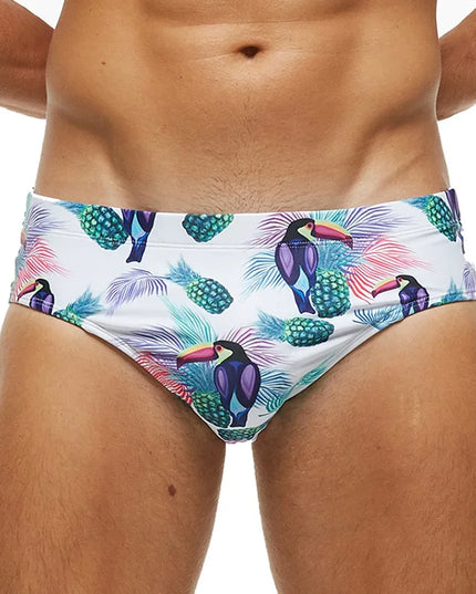 47776960905563|47776960938331|47776961036635|47776961069403|47776961102171