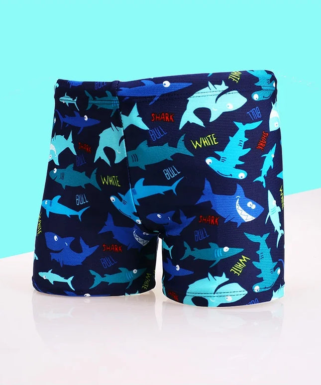 47781239423323|47781239521627|47781239554395|47781239587163