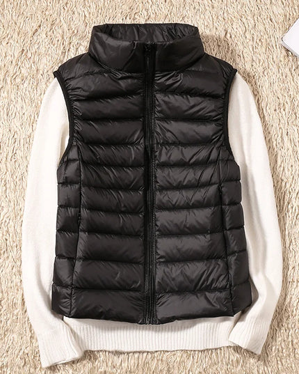 47431852032347|47431852065115|47431852097883|47431852130651|47431852163419|47431852196187