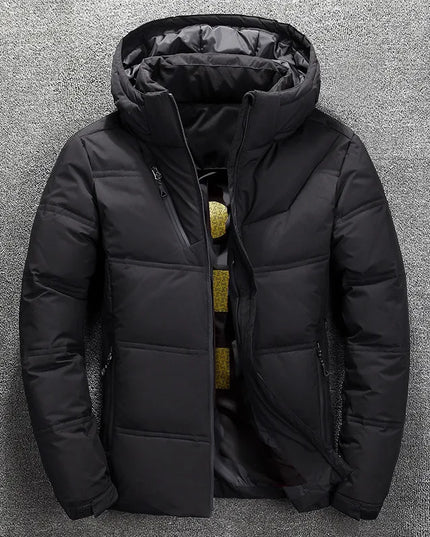 47249308221787|47249308254555|47249308287323|47249308352859|47249308418395