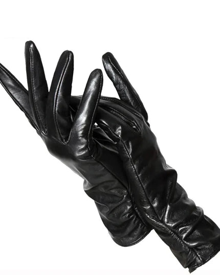 47384001872219|47384001904987|47384001937755|47384001970523|47384002003291