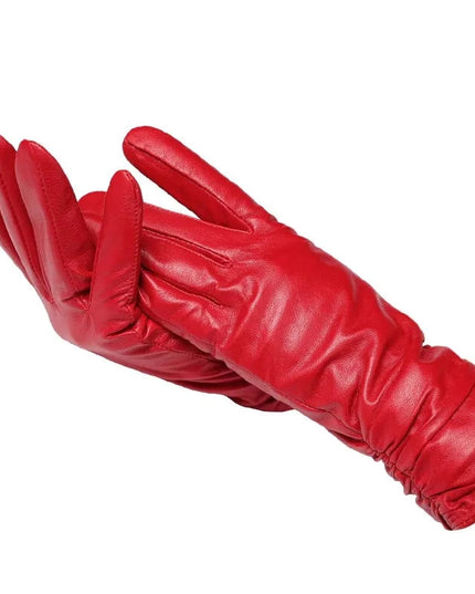 47384002036059|47384002068827|47384002101595|47384002134363|47384002167131