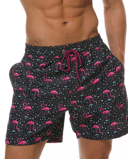 47776671269211|47776671498587|47776671531355|47776671564123|47776671596891