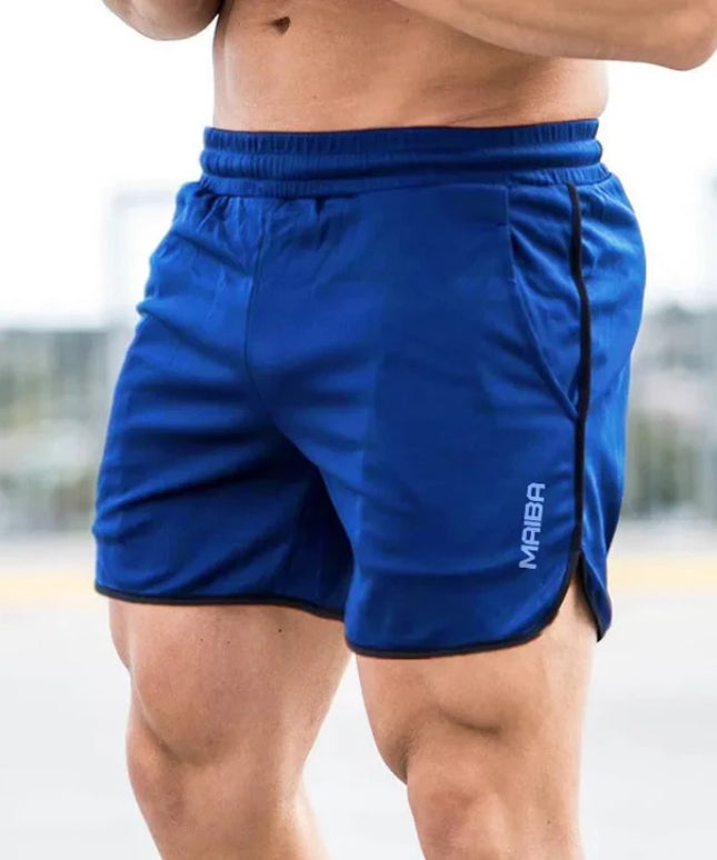 47463045628251|47463045661019|47463045693787|47463045726555