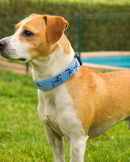 Obroża LED dla psa w bajkowy wzór