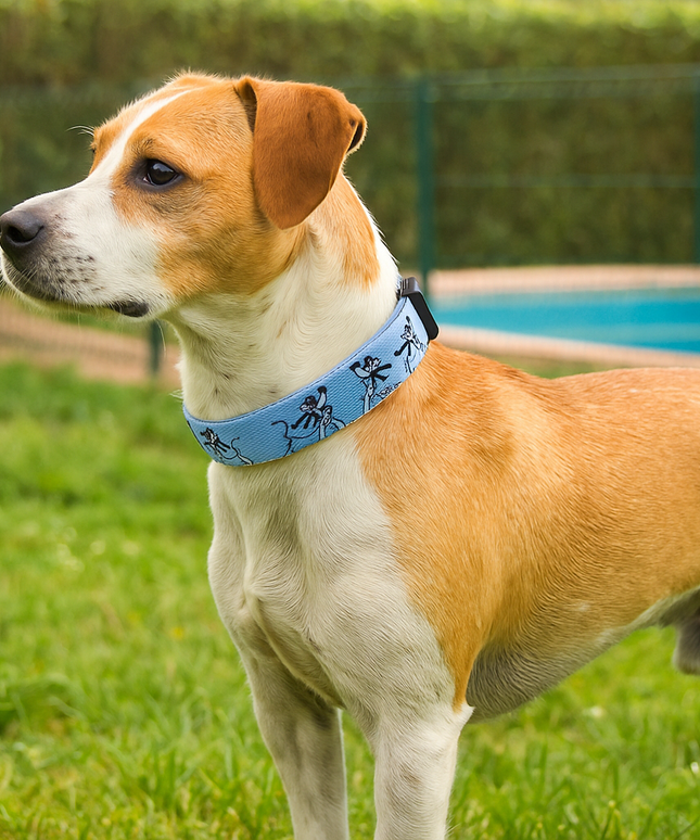 Obroża LED dla psa w bajkowy wzór