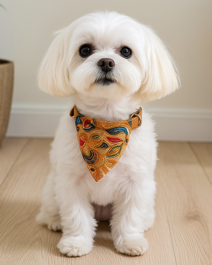 Obroża dla psa z motywem bandany we wzorki