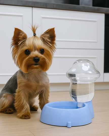 Poidełko dla psa w kształcie grzybka