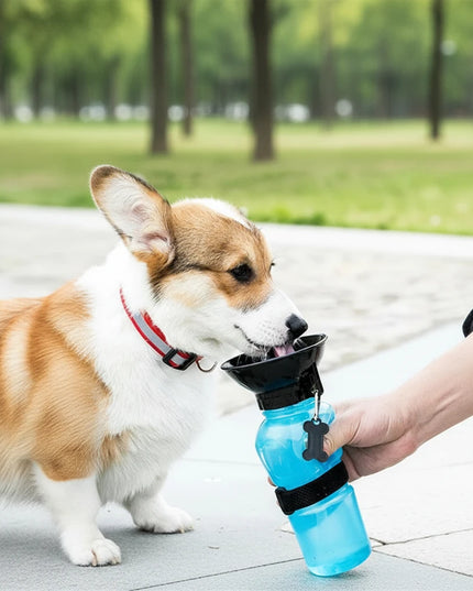 Przenośna butelka na wodę dla psa