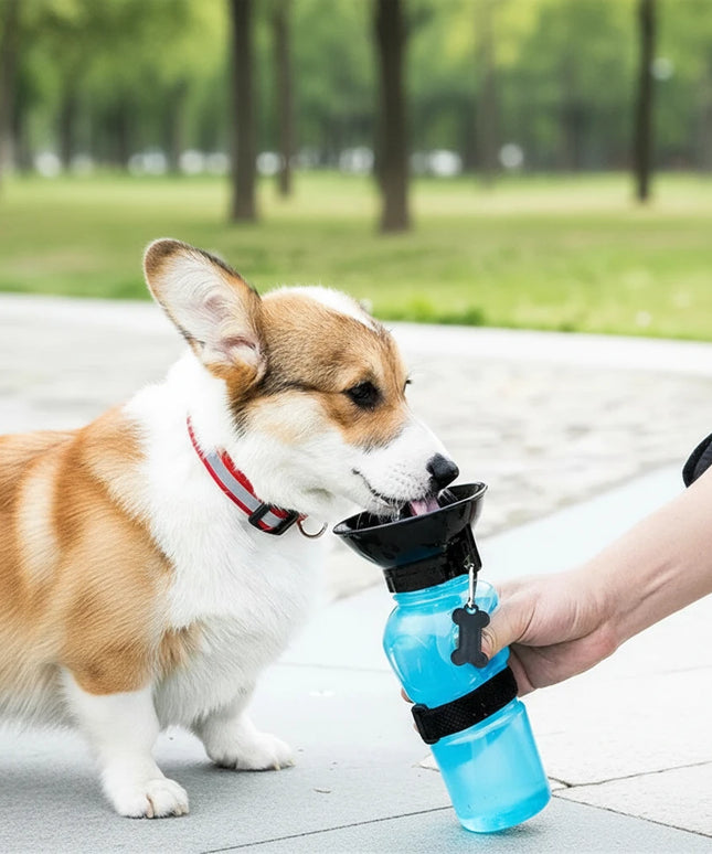 Przenośna butelka na wodę dla psa