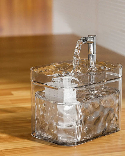 Przezroczysta fontanna dla psa