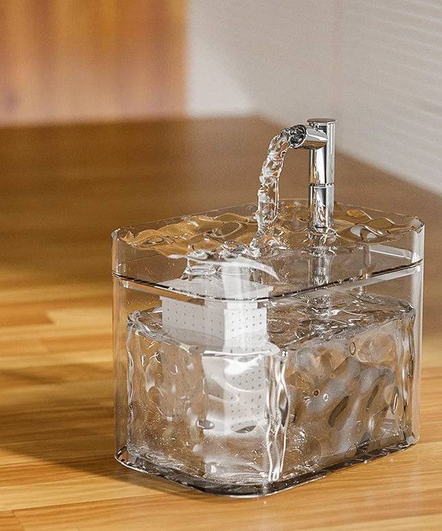 Przezroczysta fontanna dla psa