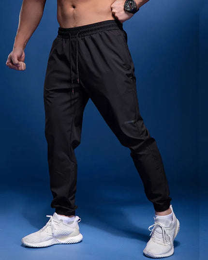 47442242273627|47442242306395|47442242339163|47442242371931|47442242404699