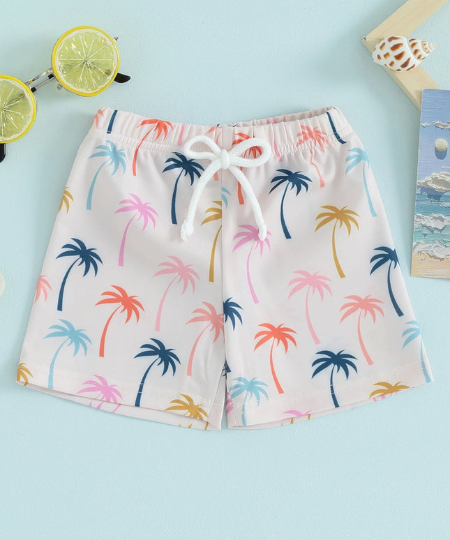 47780911579483|47780911612251|47780911645019