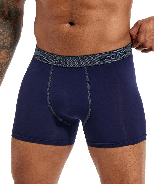 47310453899611|47310453932379|47310453965147|47310453997915|47310454030683