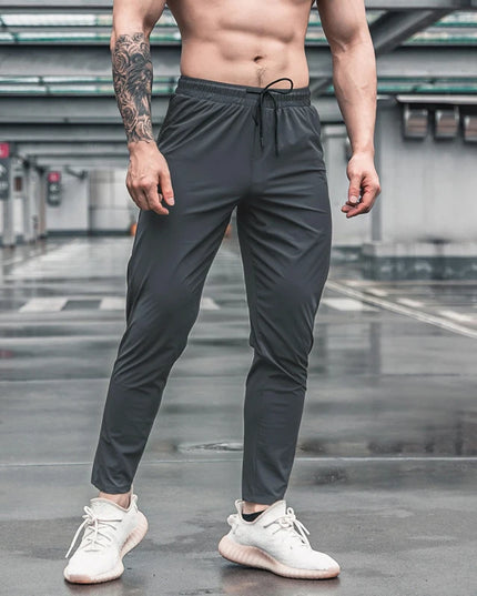 47449274384731|47449274417499|47449274450267|47449274483035|47449274515803|47449274548571