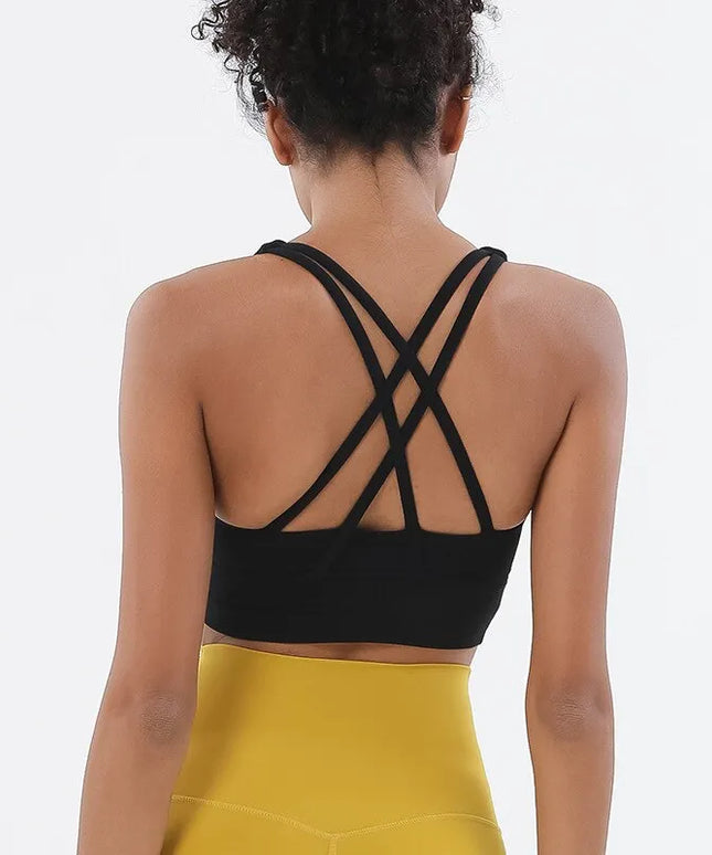 47436462293339|47436462391643|47436462489947|47436462588251