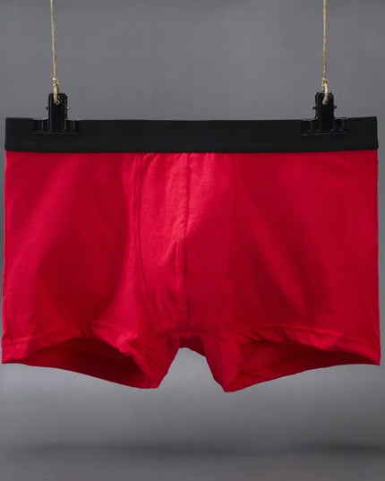 47298672263515|47298672296283|47298672329051|47298672361819