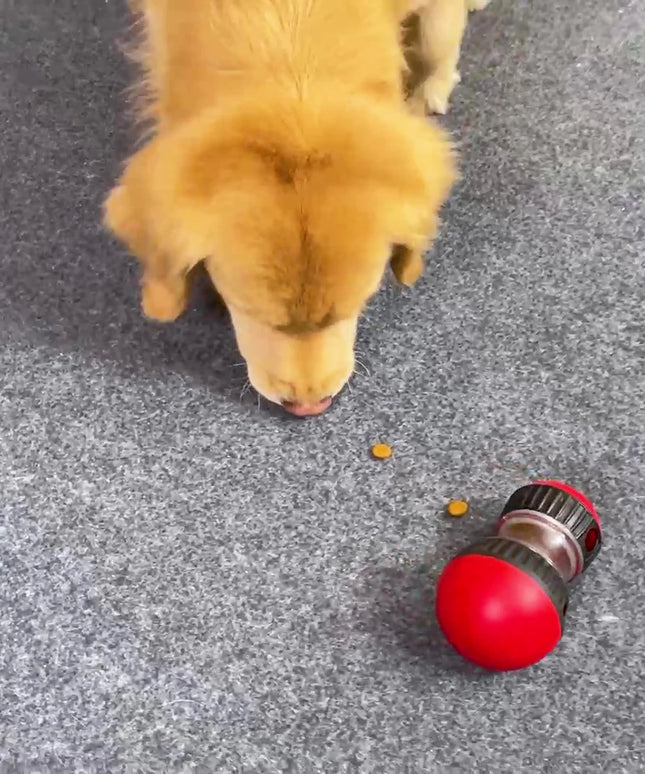 Interaktywna zabawka dla psa – podajnik na smakołyki i trening IQ dla małych i średnich psów