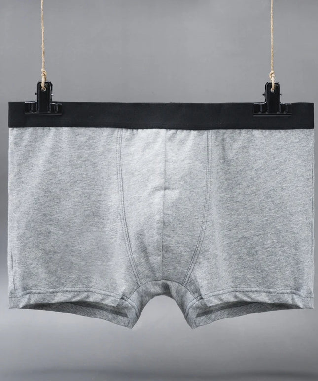 47298672656731|47298672689499|47298672722267|47298672755035