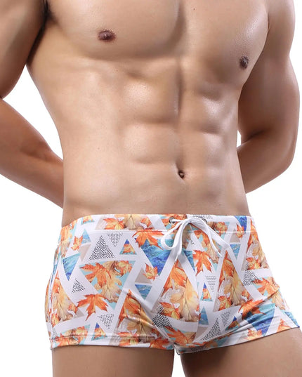 47777049084251|47777049117019|47777049149787|47777049182555