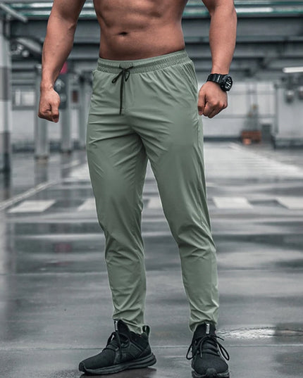 47449274777947|47449274810715|47449274843483|47449274876251|47449274909019|47449274941787