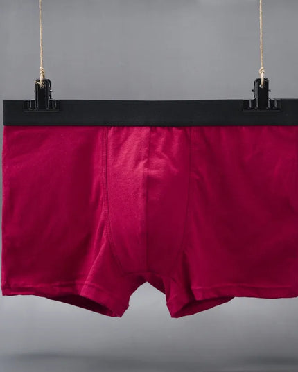 47298672394587|47298672427355|47298672460123|47298672492891