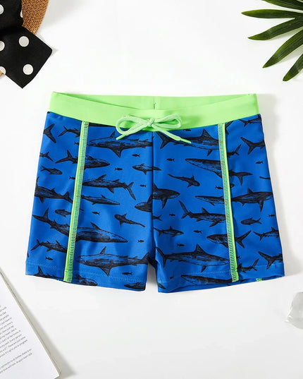 47781300076891|47781300109659|47781300142427|47781300175195