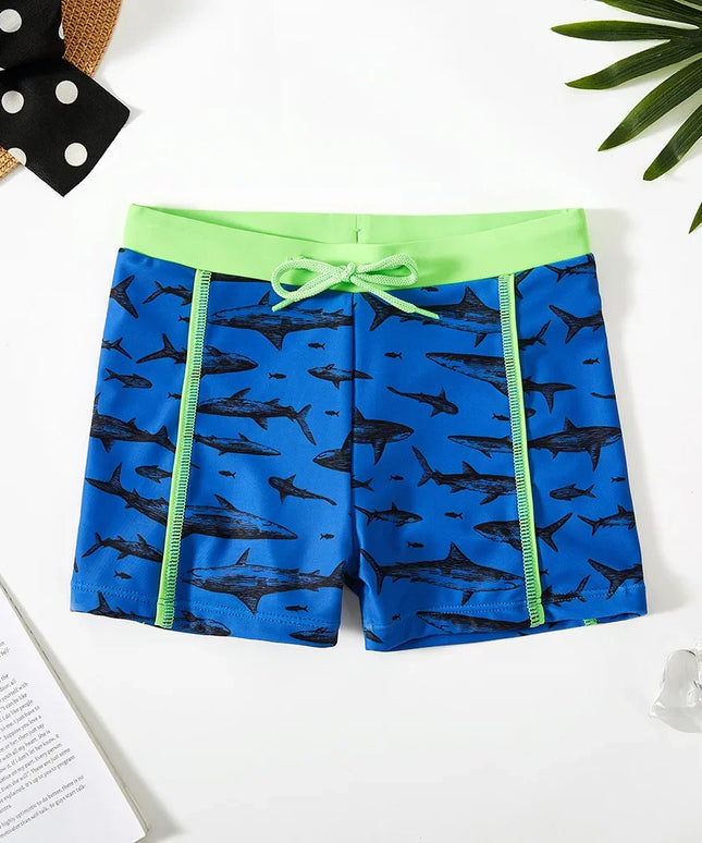 47781300076891|47781300109659|47781300142427|47781300175195