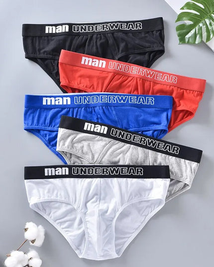 47297509949787|47297509982555|47297510015323|47297510048091