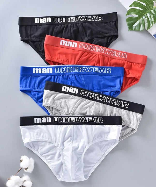 47297509949787|47297509982555|47297510015323|47297510048091