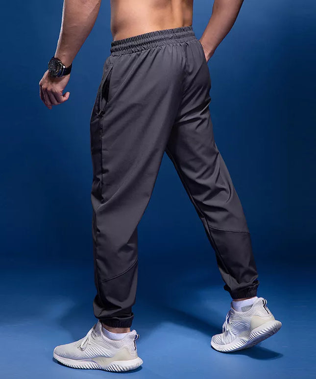 47442242437467|47442242470235|47442242503003|47442242535771|47442242568539