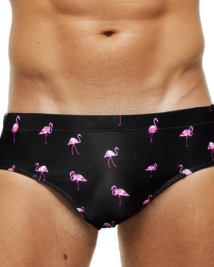 47776914309467|47776914342235|47776914375003|47776914407771|47776914440539