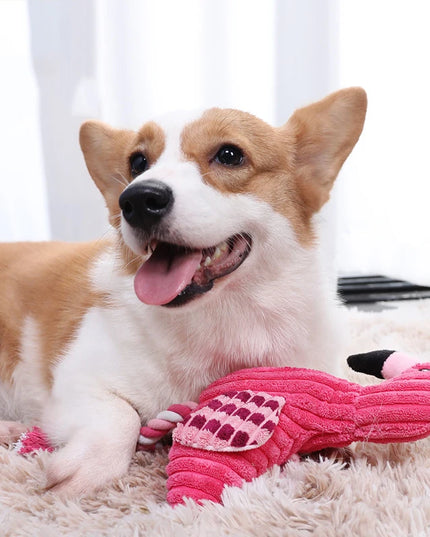 Piszcząca sztruksowa zabawka dla psa – pluszowy flaming do żucia i przeciągania