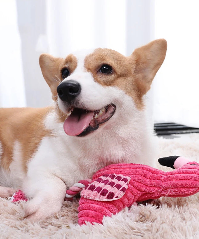 Piszcząca sztruksowa zabawka dla psa – pluszowy flaming do żucia i przeciągania