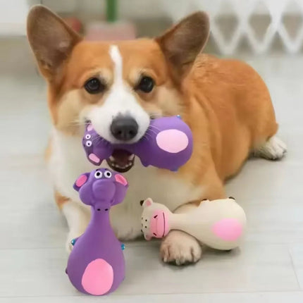 Collection image for: Zabawki dla zwierząt