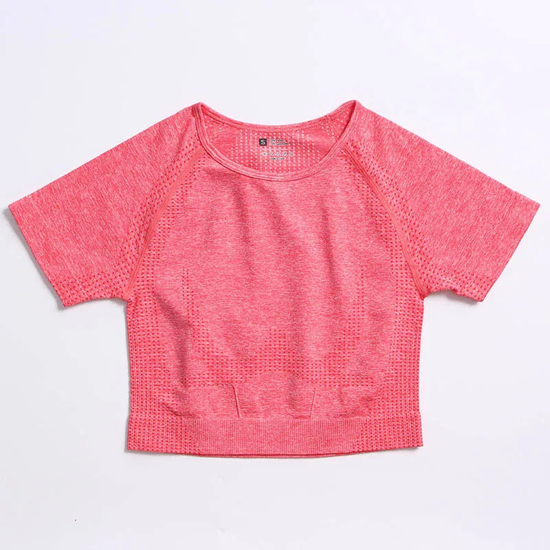 47441195336027|47441195368795|47441195401563