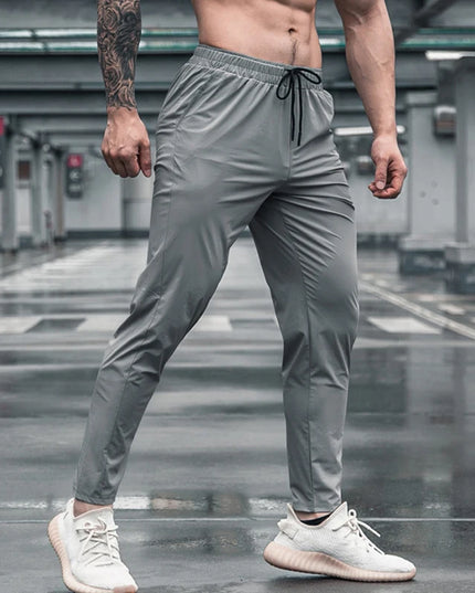 47449274581339|47449274614107|47449274646875|47449274679643|47449274712411|47449274745179