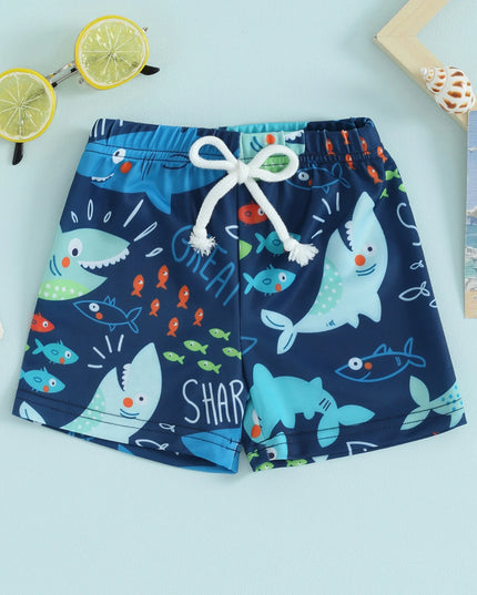 47780911677787|47780911710555|47780911743323