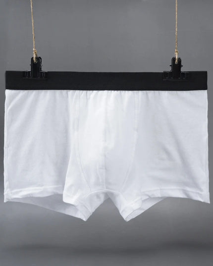 47298672132443|47298672165211|47298672197979|47298672230747