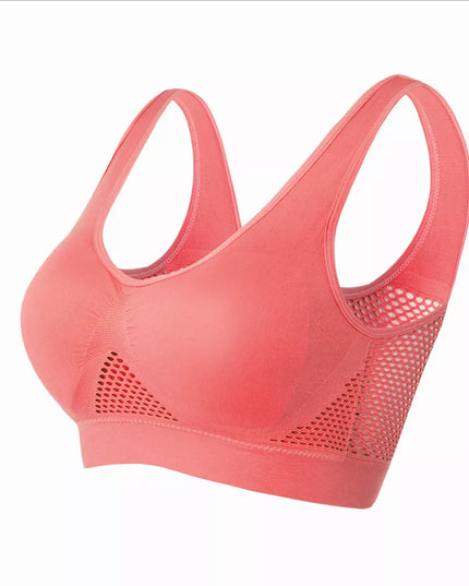 47436382273883|47436382306651|47436382339419|47436382372187|47436382404955|47436382437723|47436382470491|47436382503259|47436382536027